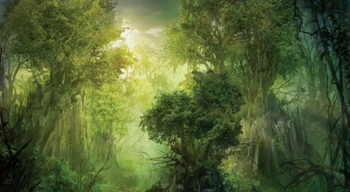 Lo que pocos se atreven a decir